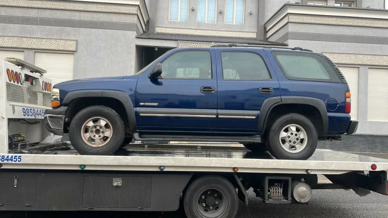 ونش السالمية